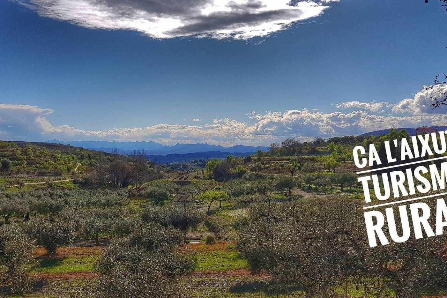 Ca Laixut Turismo Rural Gratallops Bagian luar foto