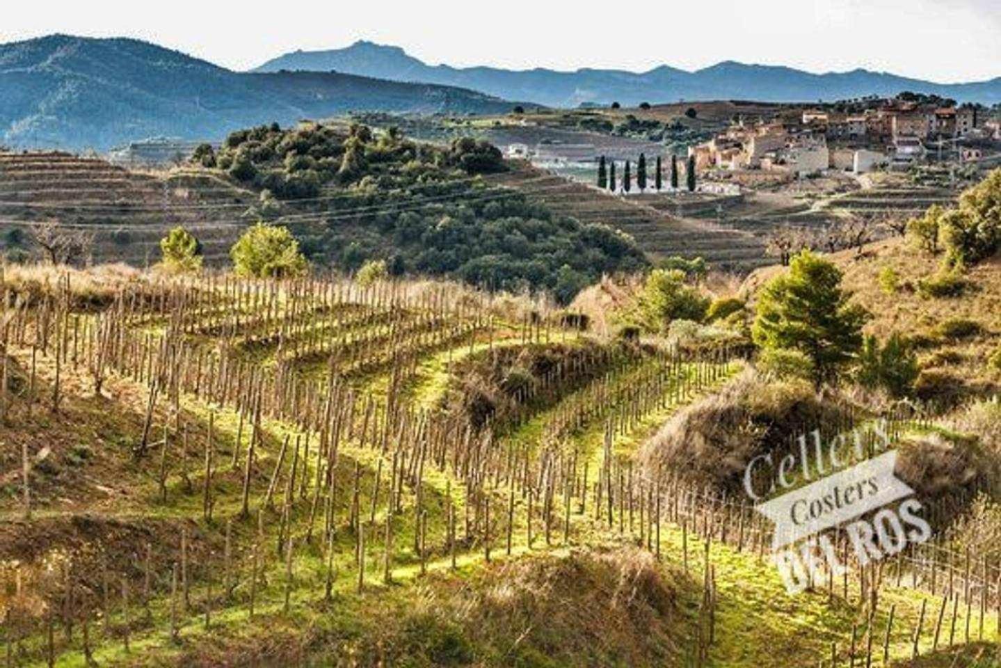 Ca Laixut Turismo Rural Gratallops Bagian luar foto